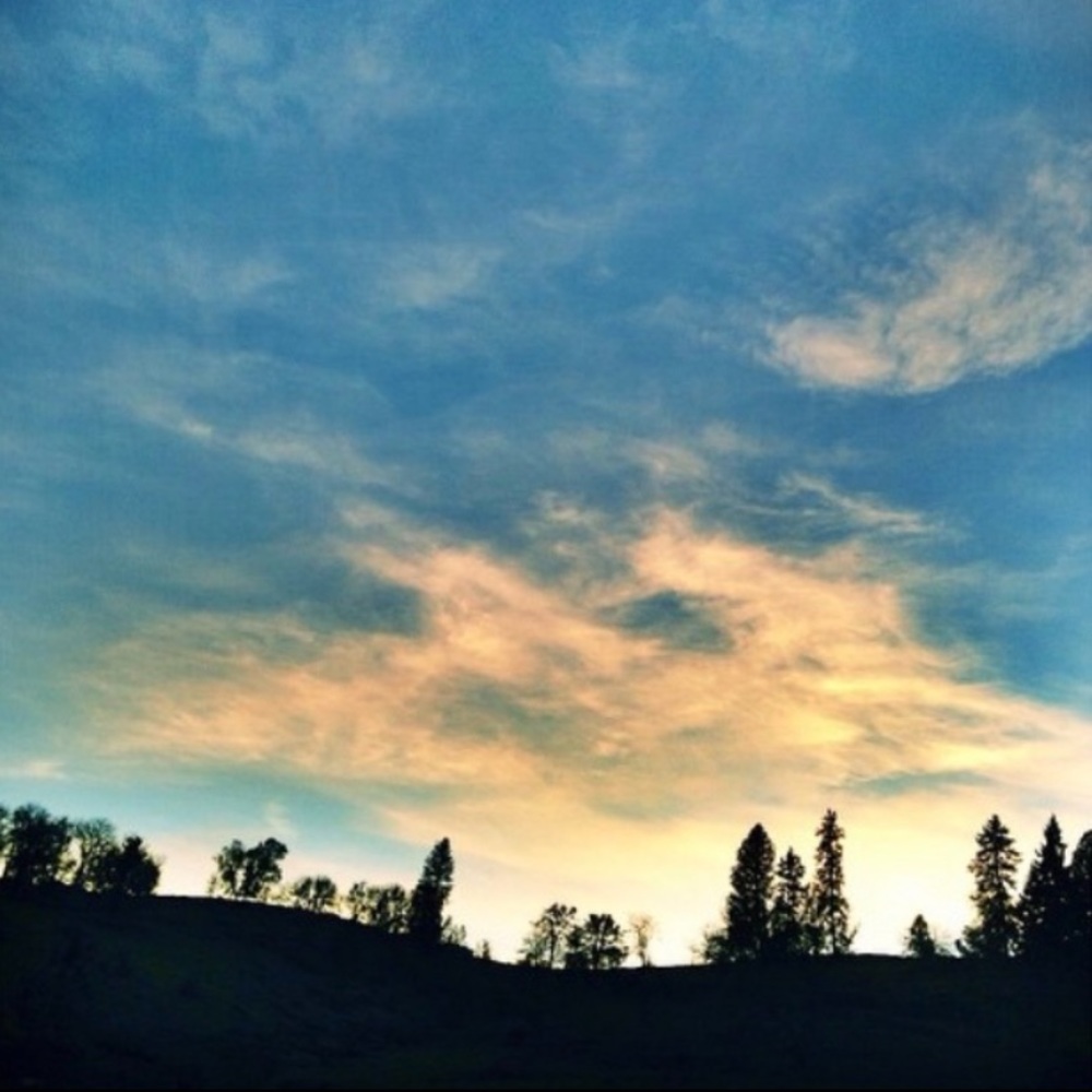 Meet your Posher, Lilly